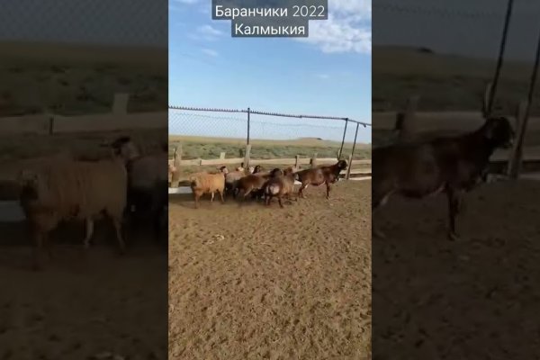 Кракен клир