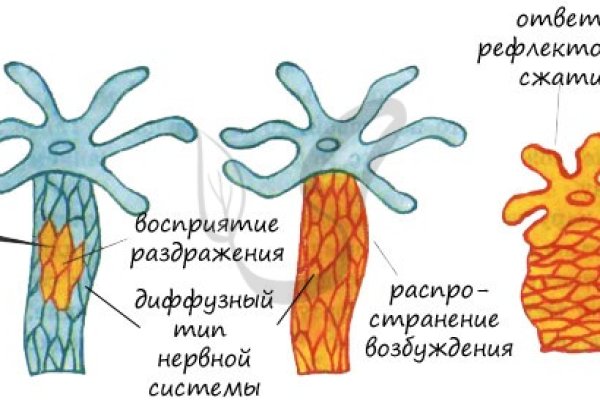 Ссылка на кракен тор