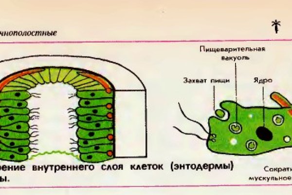 Кракен даркнет ссылка зеркало