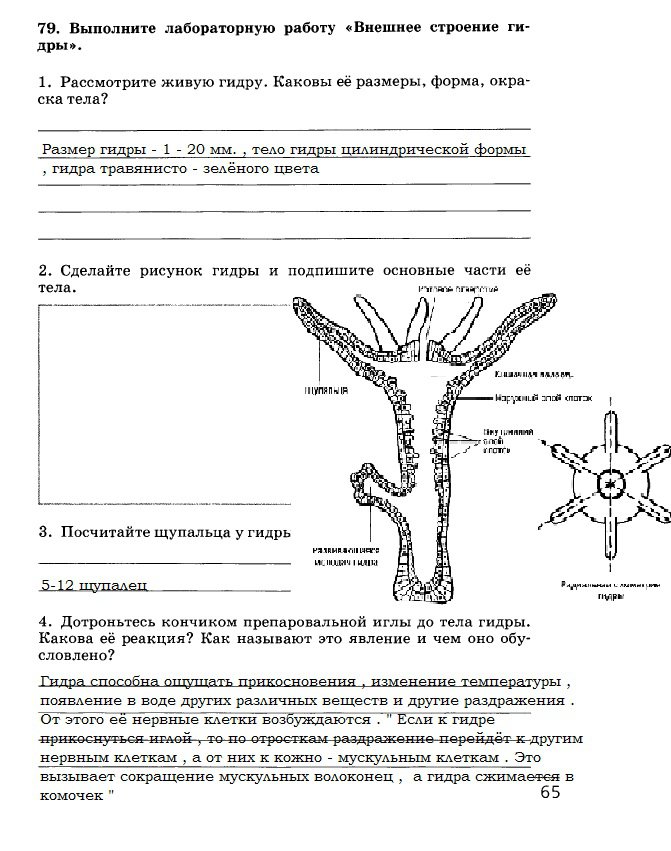 Как вывести с кракена