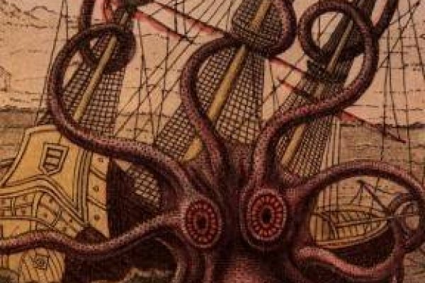 Kraken 19 at
