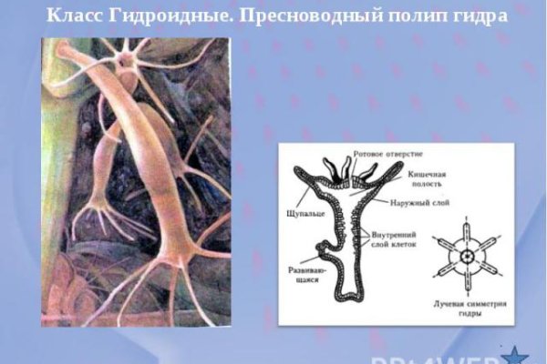 Кракен даркнет ссылка на сайт