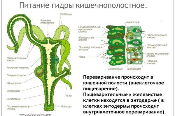 Кракен это что за магазин