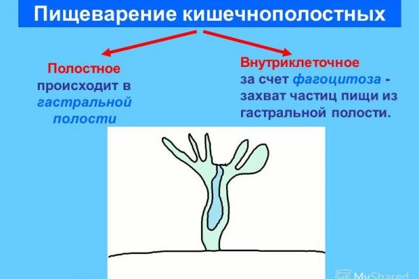 Клир ссылка на кракен 2025