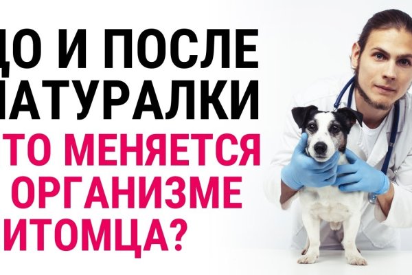 Кракен торговая площадка даркнет