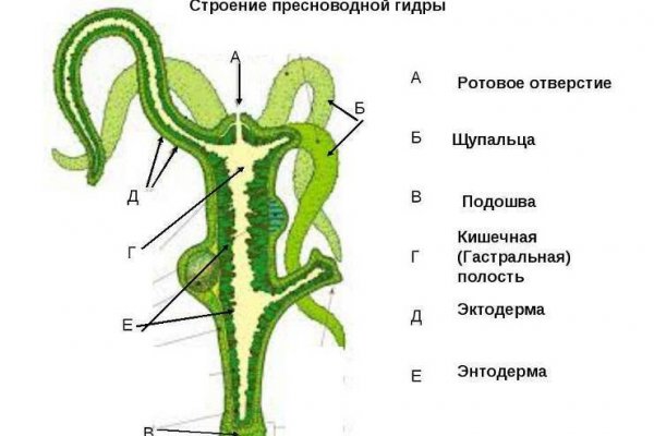 Кракен нарка шоп